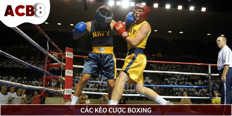 Một số kèo cá cược quyền anh mà người mới cần ghi nhớ