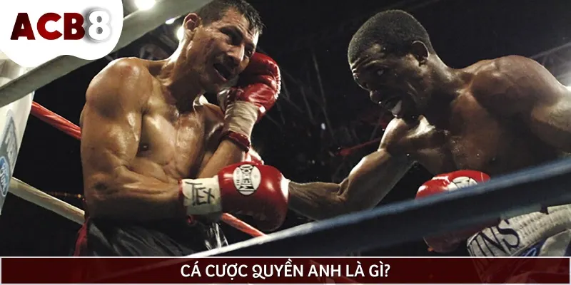 Cá cược quyền anh là loại hình giải trí được nhiều người yêu thích