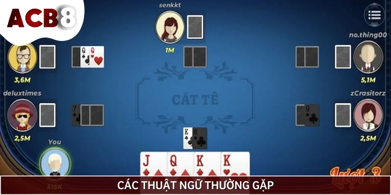 Một số thuật ngữ thường gặp mà bạn phải ghi nhớ trong cách chơi bài Catte