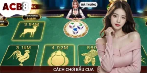 Cách Chơi Bầu Cua Online Dễ Hiểu, Dễ Thắng Cho Mọi Game Thủ