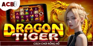 Cách Chơi Rồng Hổ Dễ Trúng Lớn Cho Người Chơi ACB8