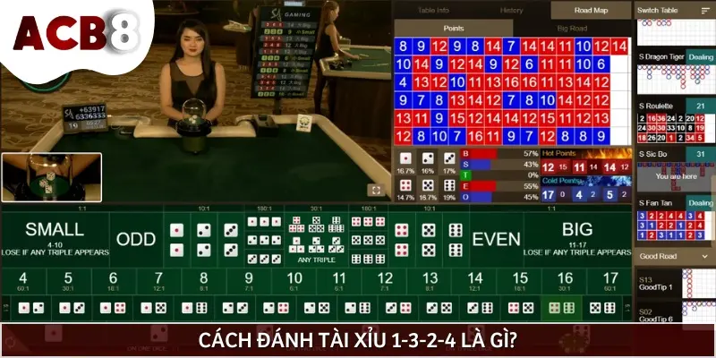 Cách đánh tài xỉu 1-3-2-4 là phương pháp được nhiều người áp dụng