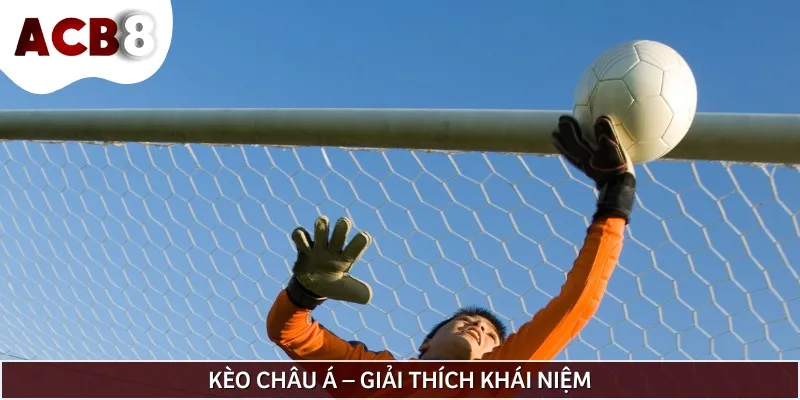 Cách đọc kèo châu Á - cách nhận định đá banh hấp dẫn