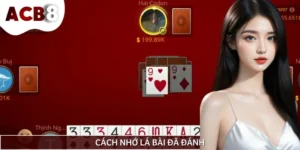 Cách Nhớ Lá Bài Đã Đánh Như Thần Khiến Đối Thủ Phải Khiếp Sợ