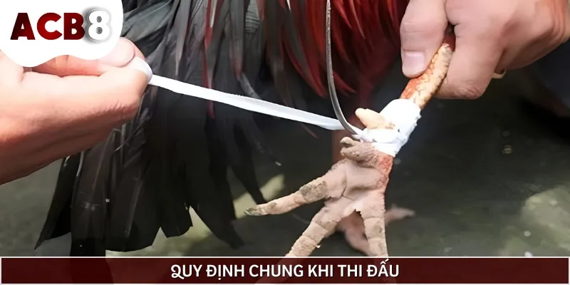 Những quy tắc chung mà ai cũng cần tuân thủ khi tham gia thi đấu