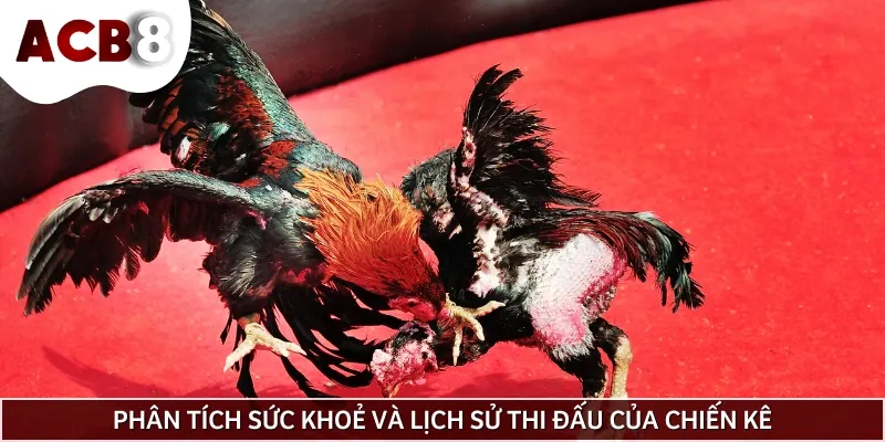 Kinh nghiệm chơi đá gà mạng an toàn và hiệu quả