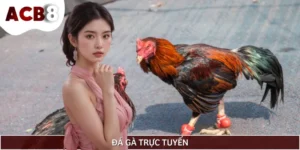 Đá Gà Trực Tuyến - Nơi Quy Tụ Những Trận Cược Đỉnh Cao
