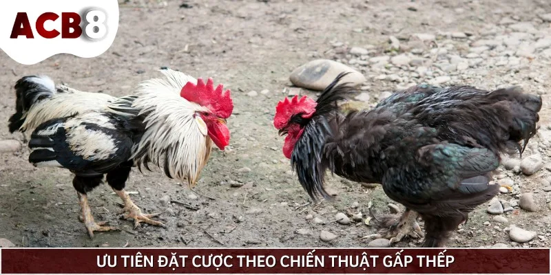 Sử dụng chiến thuật gấp thếp