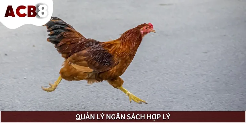 Hãy quản lý tốt vốn cược để duy trì cuộc chơi lâu dài