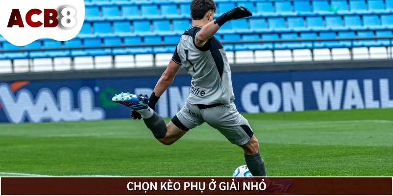 Bet thủ nên chọn kèo phụ ở giải nhỏ nếu chưa biết cách phân tích
