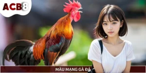 Cách Xem Màu Mạng Gà Đá Chuẩn Xác Theo Phong Thủy Cho Sư Kê