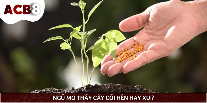 Mơ thấy cây cối là tình huống thường gặp đối với nhiều người