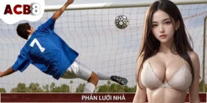 Phản lưới nhà là gì? Có tính là bàn thắng hợp lệ hay không?