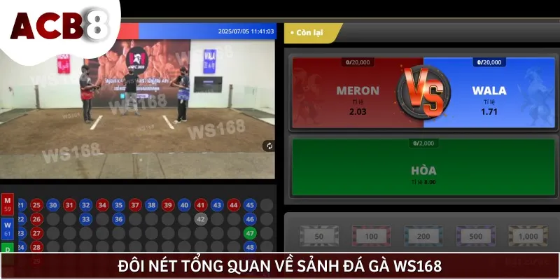 Ws168 là sảnh đá gà uy tín, lâu đời mà bet thủ nên thử dù chỉ một lần