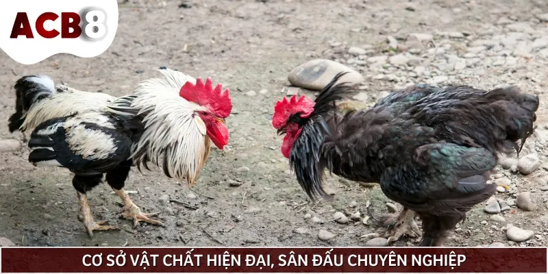 Có thể nói rằng, cơ sở vật chất tại đây luôn được đầu tư hiện đại