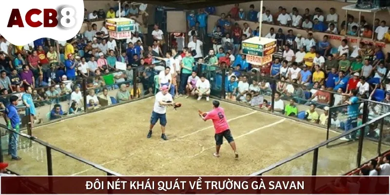 Trường gà Sava là trường đấu nổi tiếng của thành phố Savanakhet