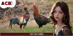 Vảy Án Thiên - Đặc Điểm, Cách Phân Biệt Nhanh Chóng Nhất